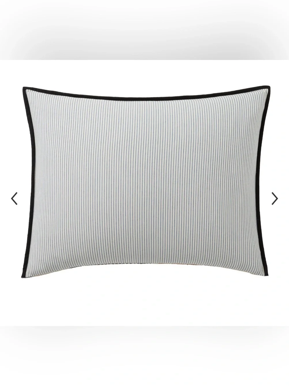 🌲Pottery Barn🌲1 Jaxson Reversible Quilted Standard Sham